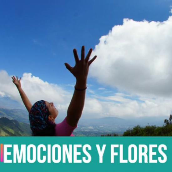 Emociones y flores Episodio 1