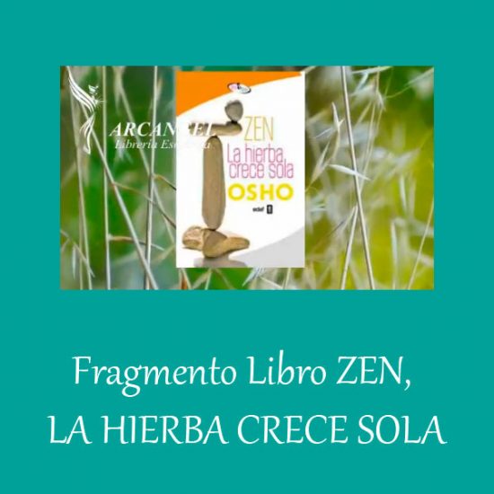 Fragmento Libro ZEN, LA HIERBA CRECE SOLA