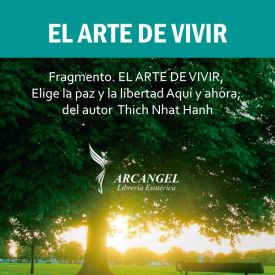 EL ARTE DE VIVIR, Elige la paz y la libertad Aquí y ahora