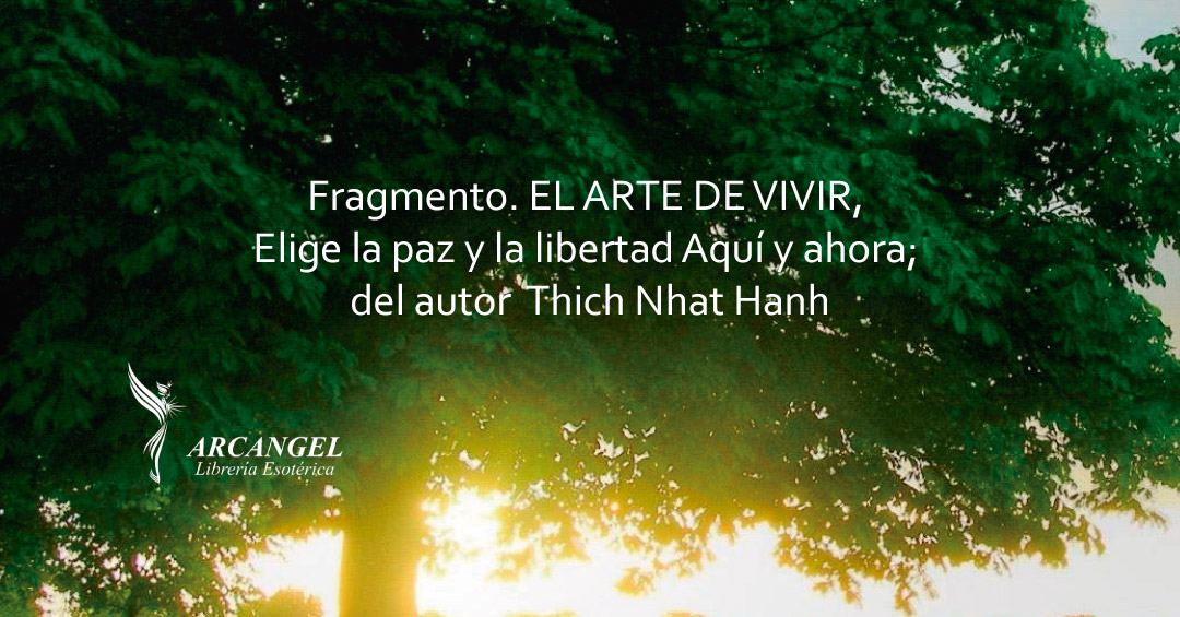 Libro EL ARTE DE VIVIR Fragmento - Arcangel Libreria Esoterica